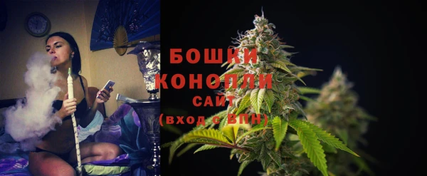 гидра Кукмор