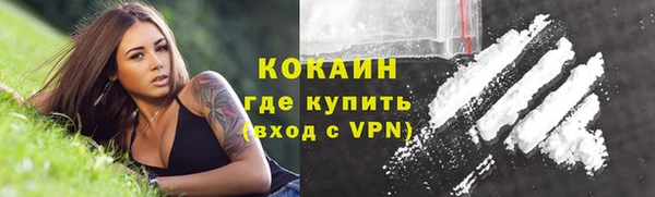 гидра Кукмор