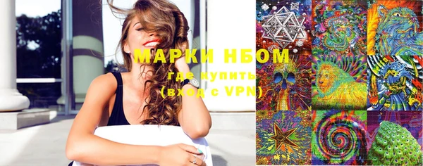 гидра Кукмор