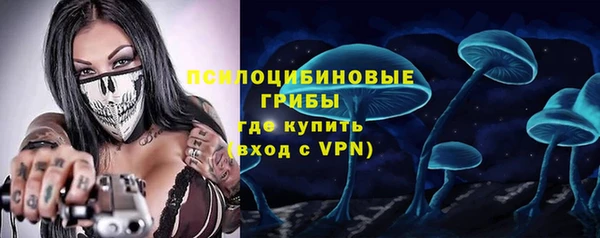 гидра Кукмор