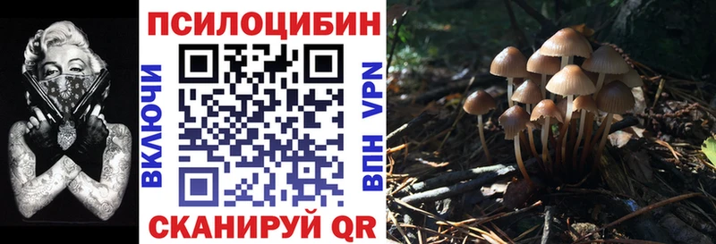 МЕГА зеркало  Миасс  Псилоцибиновые грибы Psilocybine cubensis 
