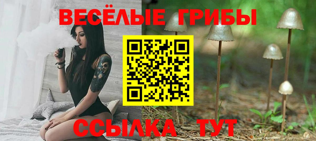 Галлюциногенные грибы Psilocybe  Псилоцибиновые грибы GOLDEN TEACHER  магазин продажи наркотиков  Миасс 